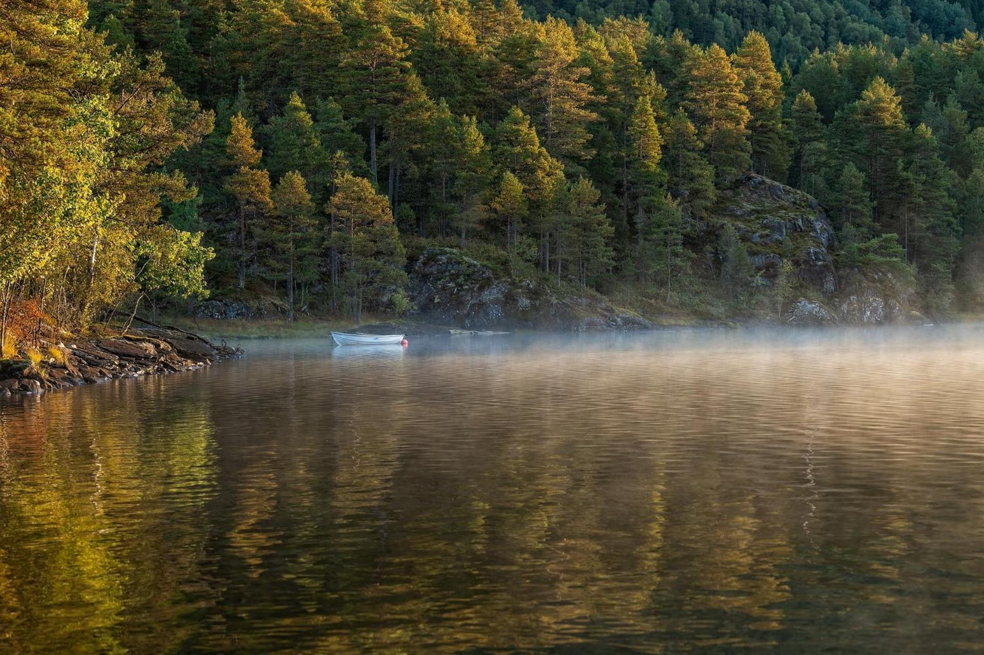 Suita Beli Labod Медводе Экстерьер фото